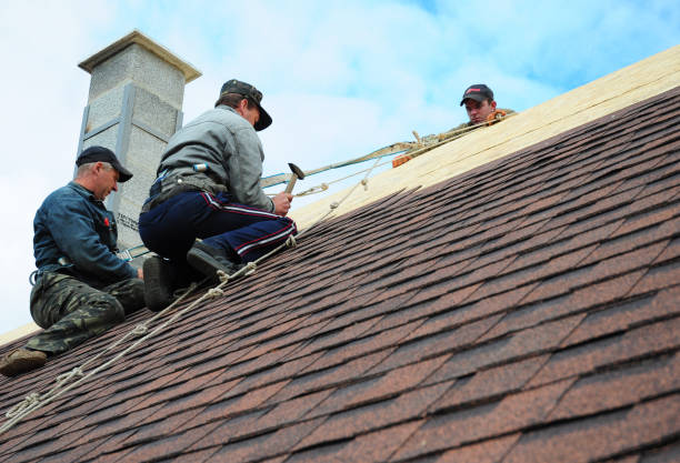 Best Metal Roofing Contractor  in Villa Hills, KY