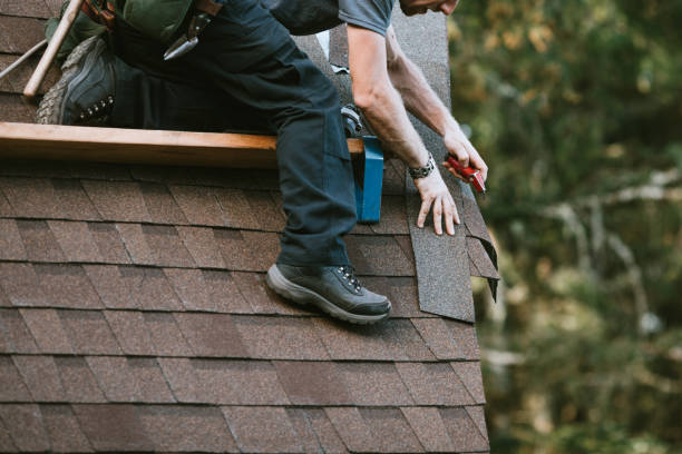 Best Roof Gutter Cleaning  in Villa Hills, KY